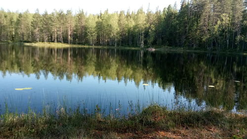 Scenic view of lake by trees