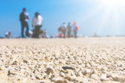 Rear view of people walking on beach