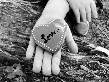 Cropped hand of person holding heart shape with love text on land
