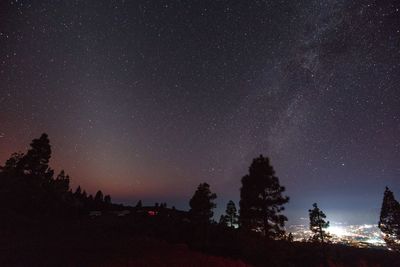 Silhouette trees against star field at night