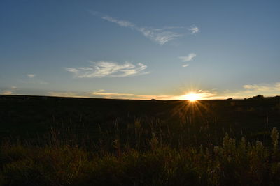 Scenic view of field against sky during sunset