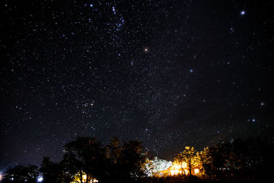 Low angle view of trees against sky at night