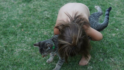 Dog standing on grassy field