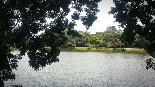 Reflection of trees in lake against sky