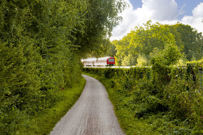 Suburban train on the way in the sunny morning