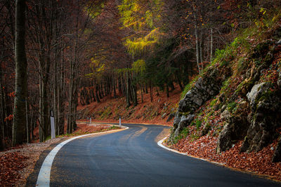 Curvy road in the autumn landscape.