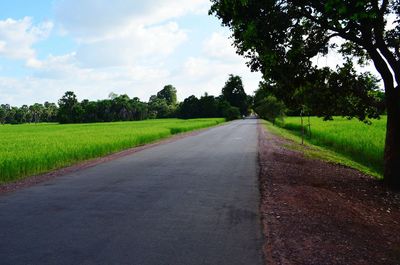 Road passing through field