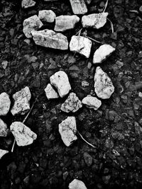 High angle view of pebbles in water