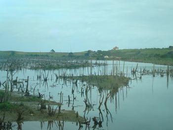 Scenic view of lake against sky