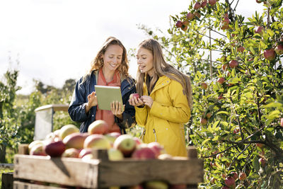 Two smiling women using tablet in apple orchard