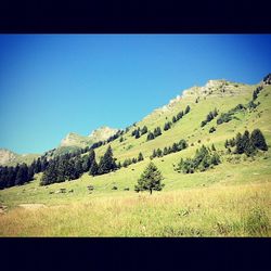 Scenic view of landscape against clear blue sky