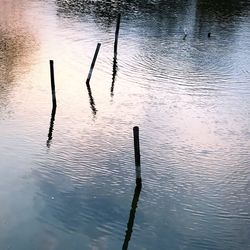 Reflection of floating on water in lake