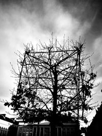 Low angle view of silhouette bare tree against sky