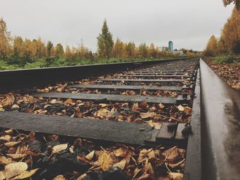 Fallen autumn leaves on railroad track