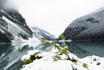 Scenic view of snow covered mountains against sky