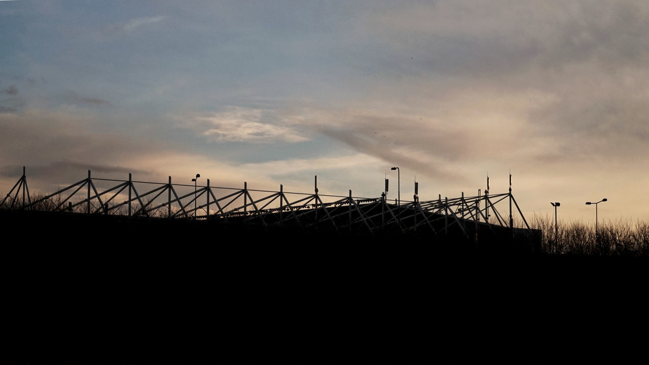 SILHOUETTE OF GRASS AT SUNSET