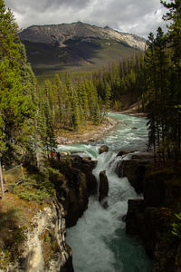 nature