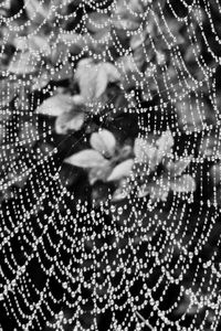 Full frame shot of water