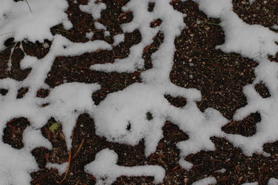 Full frame shot of snow covered land