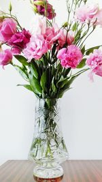 Close-up of pink flower in vase