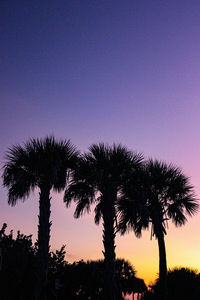 Low angle view of silhouette palm trees against sky during sunset