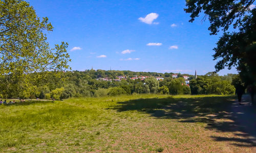 Trees on field against sky