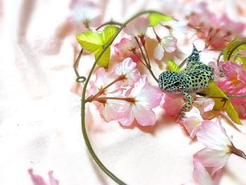 Close-up of fruits on flower