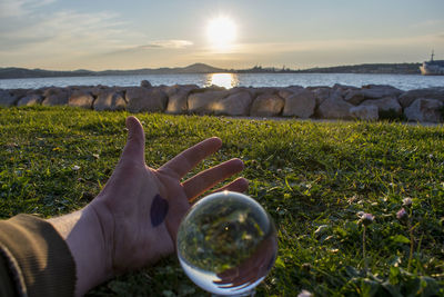 Midsection of man holding plants on land against sky during sunset