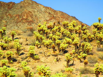 Scenic view of rocky mountains against clear sky
