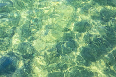 Full frame shot of swimming pool