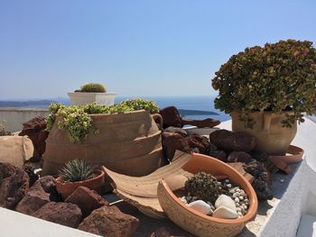 Potted plants on beach against clear sky