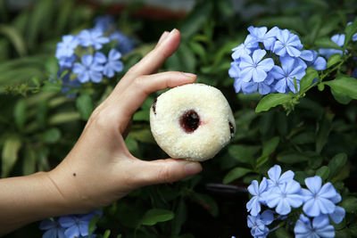 Close-up of hand holding food against flowering plant