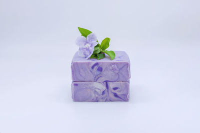 Close-up of purple flower against white background