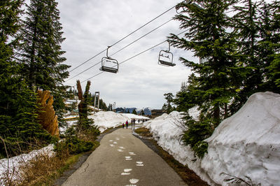 Road amidst trees against sky