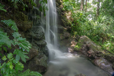 Scenic view of waterfall in forest