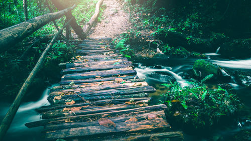 High angle view of steps amidst trees in forest