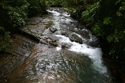 Stream flowing through rocks in forest