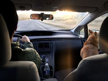 Rear view of men sitting in car