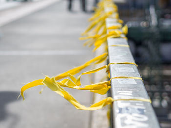 Close-up of yellow leaf