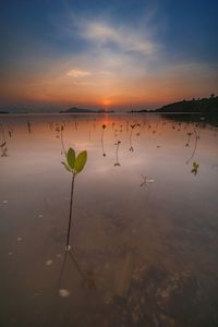 Scenic view of lake against sky during sunset