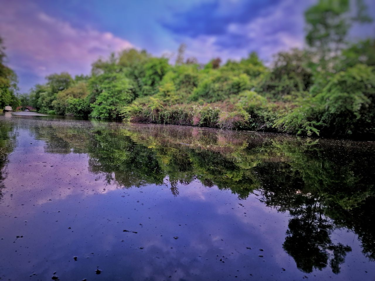 reflection, water, nature, plant, tree, sky, river, body of water, beauty in nature, cloud, tranquility, scenics - nature, environment, no people, tranquil scene, landscape, wetland, pond, forest, outdoors, land, standing water, wilderness, travel destinations, blue, non-urban scene, green, leaf, reflection lake, reservoir, day