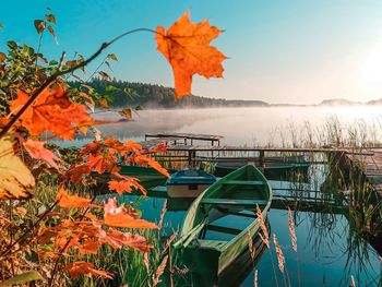 Orange plants by lake against sky during autumn