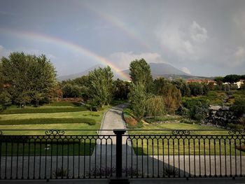 Rainbow over trees against sky