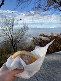 Midsection of person holding ice cream against trees