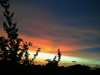 Silhouette trees against sky during sunset