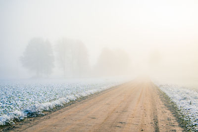 Road amidst trees on field during winter against sky