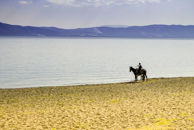 People on horse by lake against sky