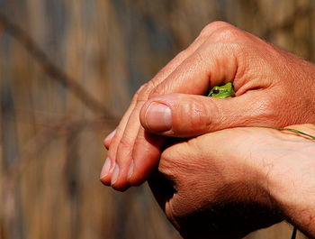 Close-up of woman hand