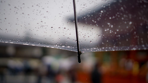 Close-up of raindrops on window