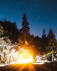 Road amidst trees against clear sky at night